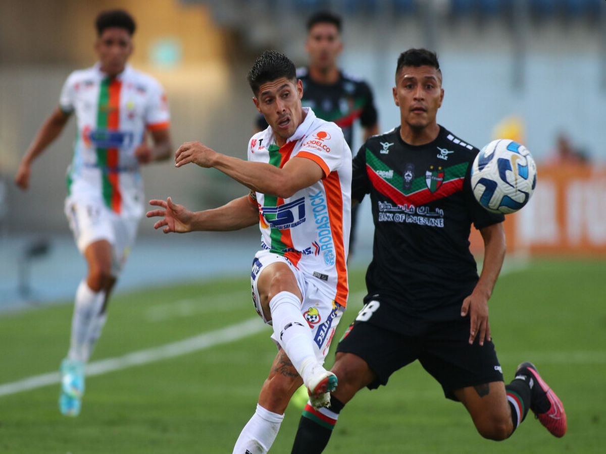 palestino-kompresal-140423