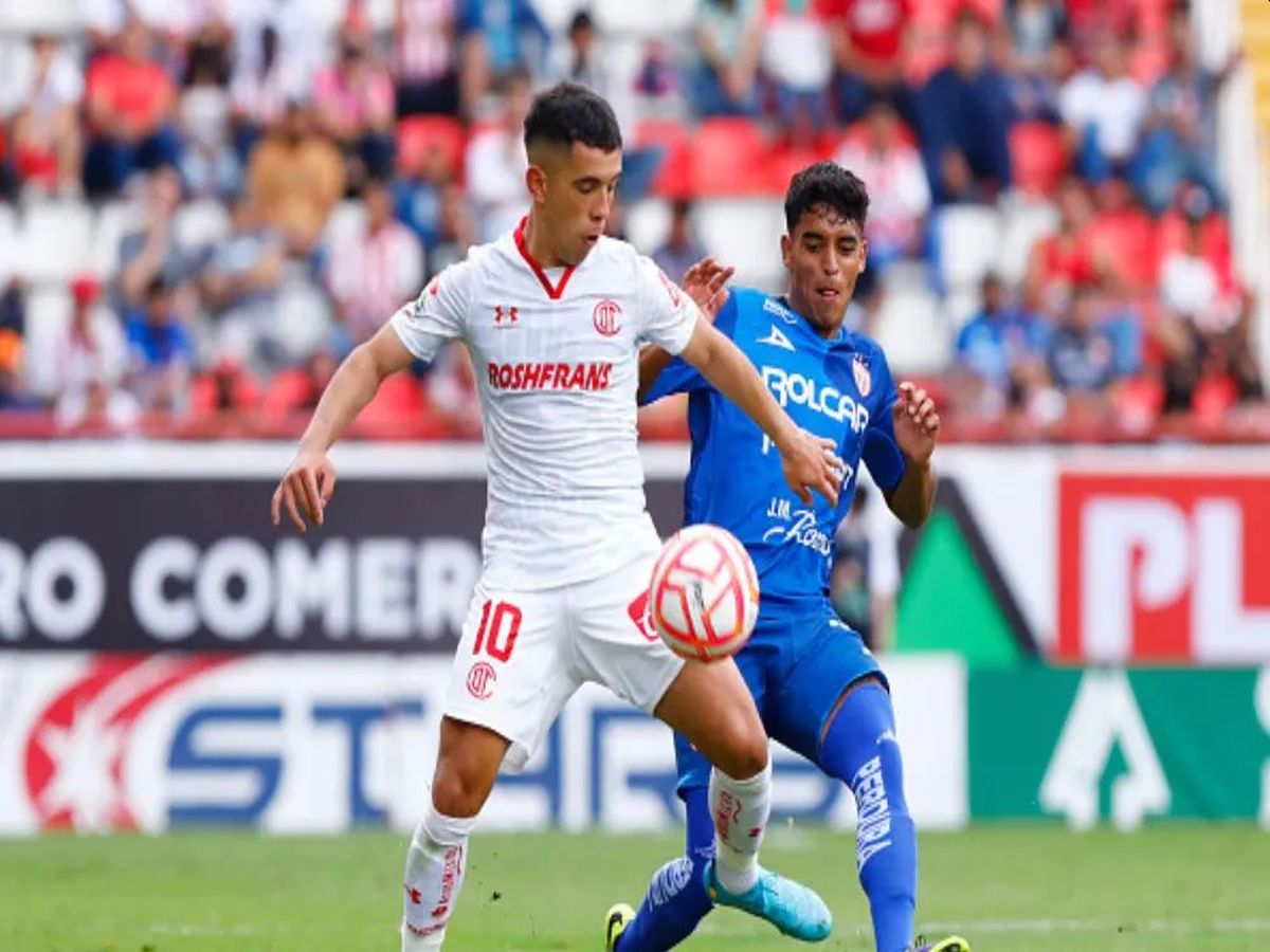 toloyka-nekaksa-300423