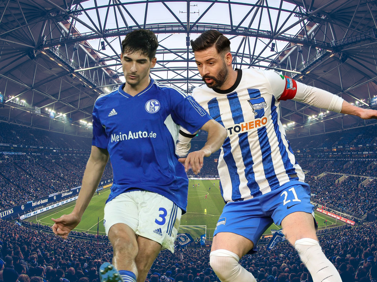 salke-xerta-verolinoy-140423