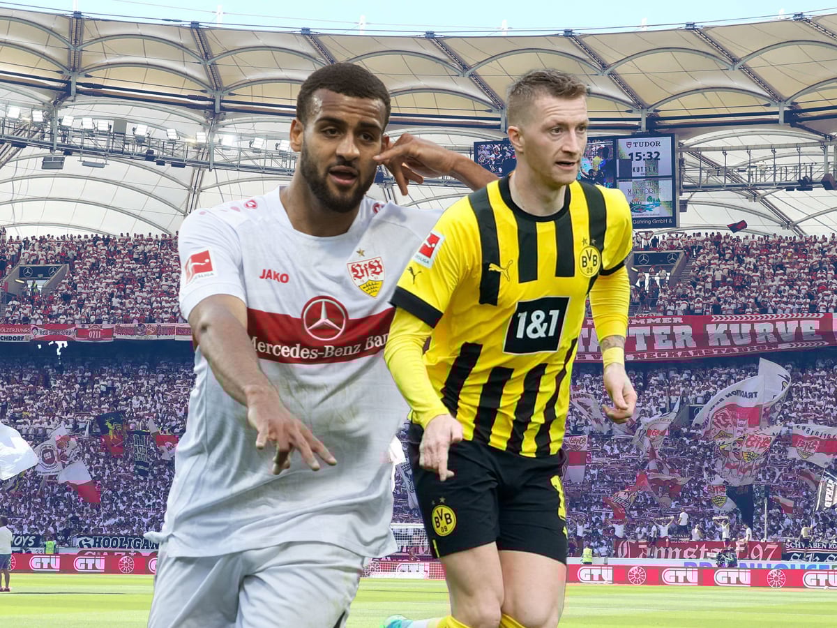 stoytgkardi-ntortmoynt-150423