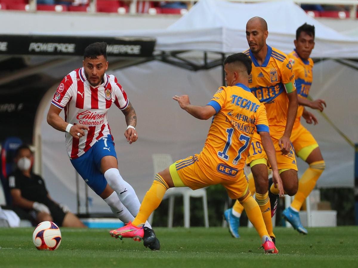 goyadalaxara-tigkres-290523