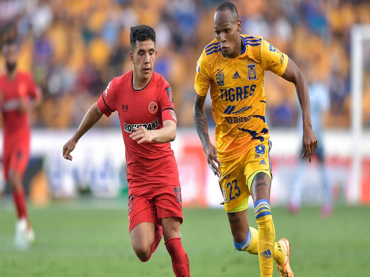 tigkres-toloyka-120523