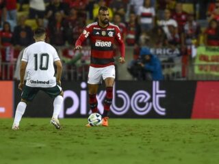 Φλαμένγκο - Παλεστίνο