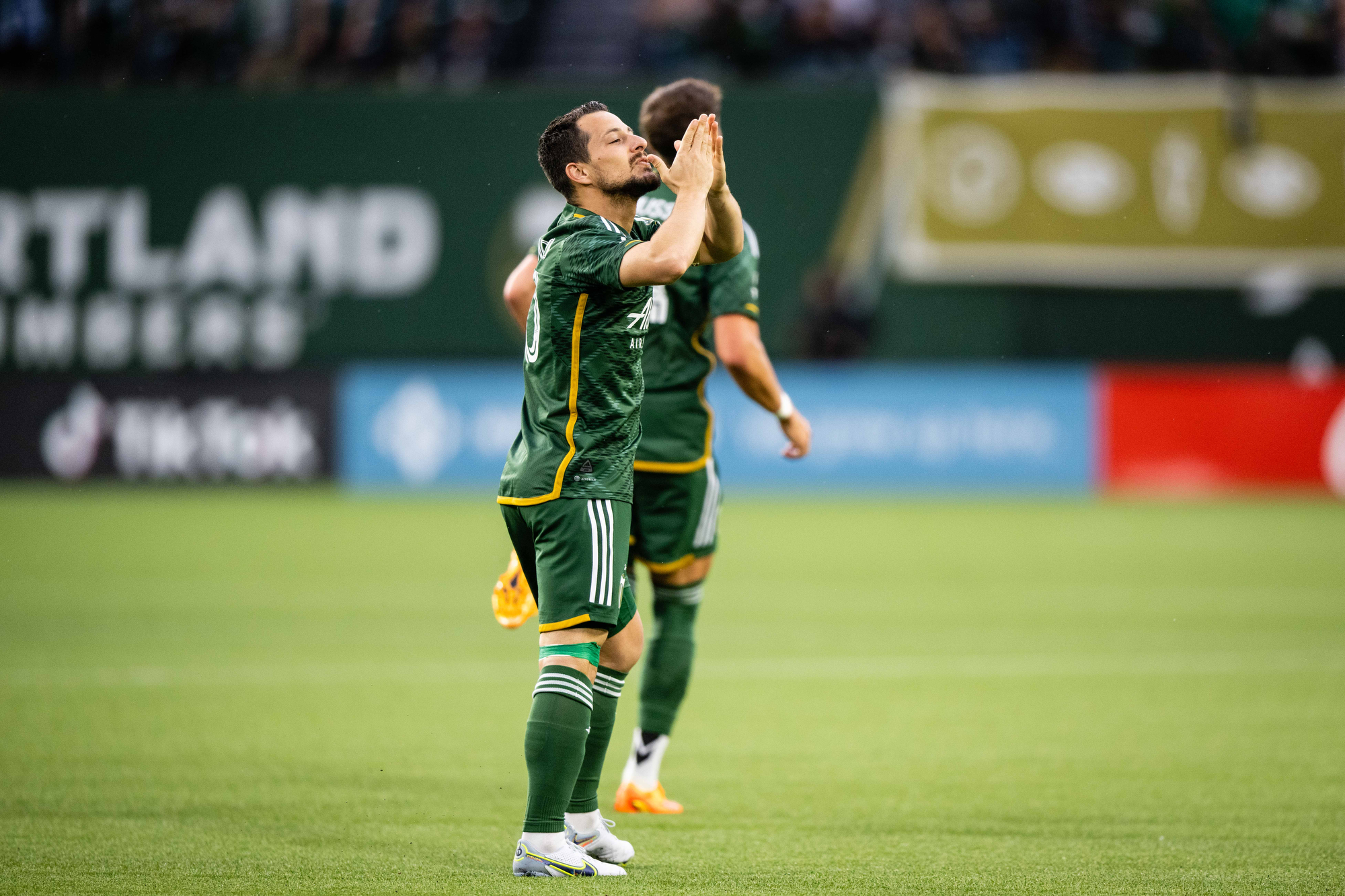 portlant-taimpers-vankoyver-goyaitkaps-140523