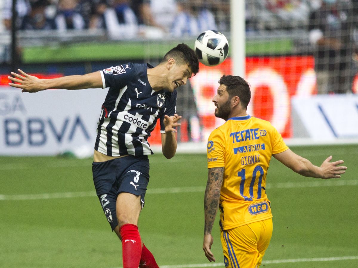 monterei-tigkres-210523