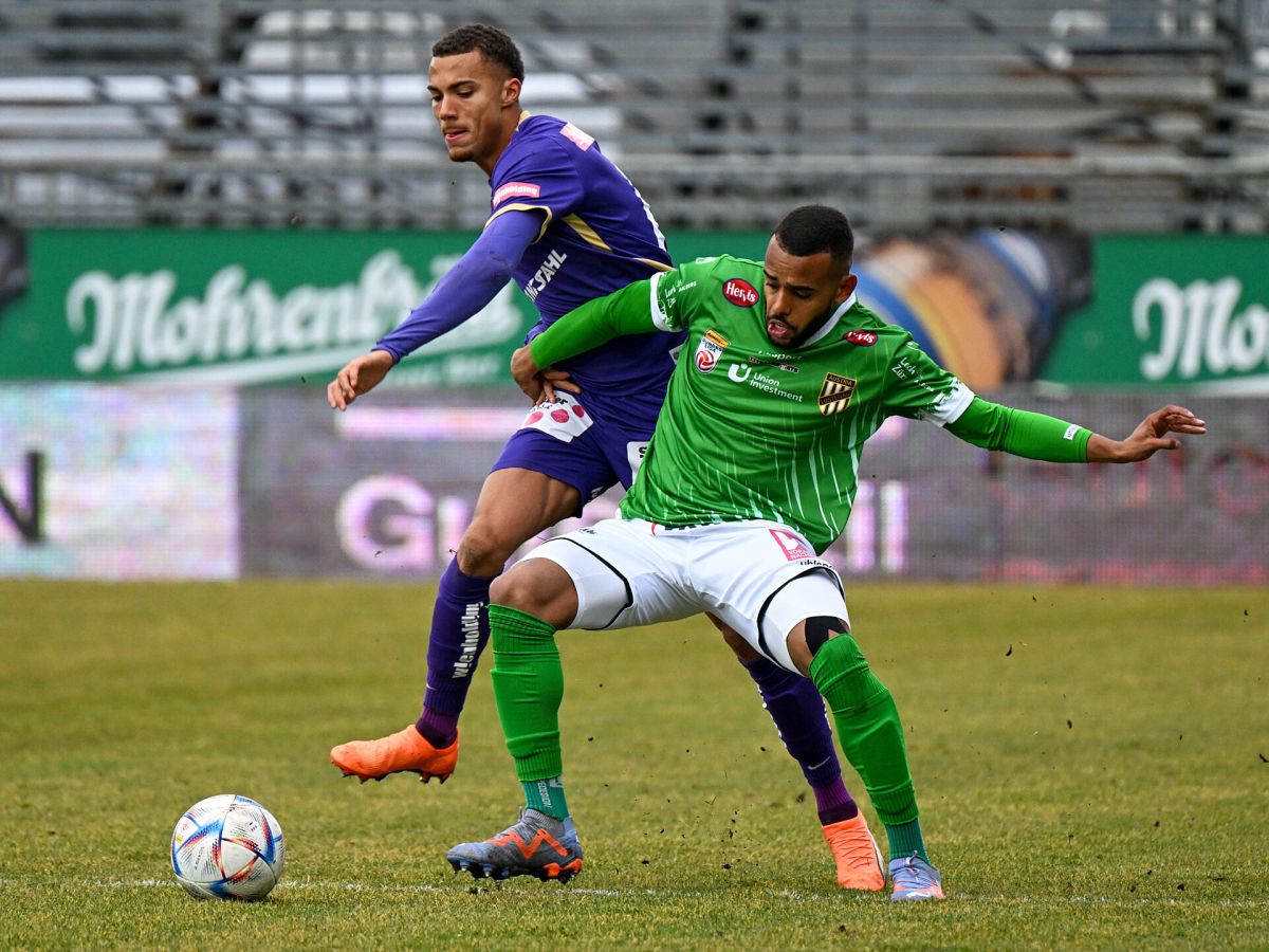 aoystria-viennis-aoystria-loystenaoy-110623