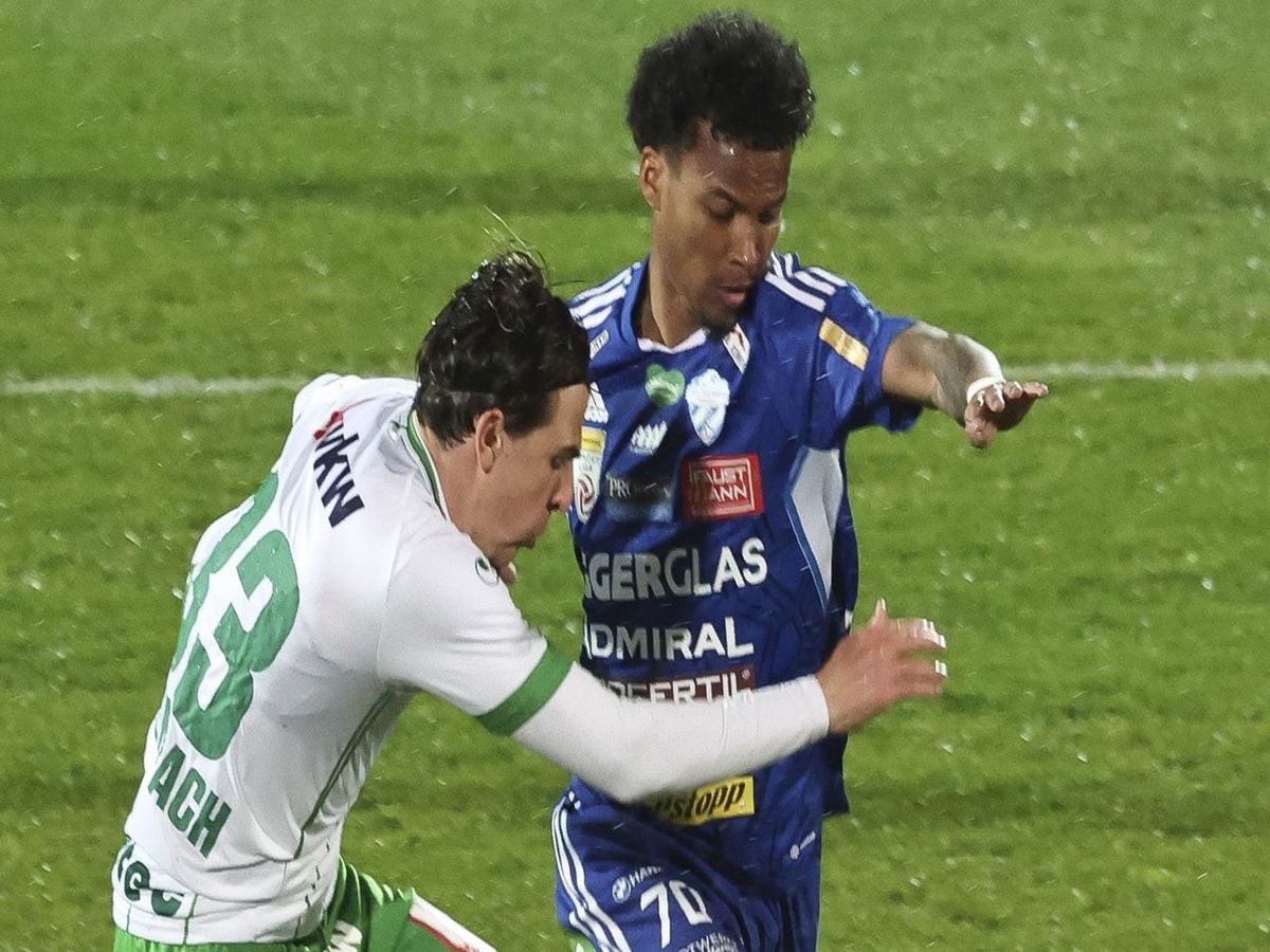 aoystria-loystenaoy-xartmpergk-020623