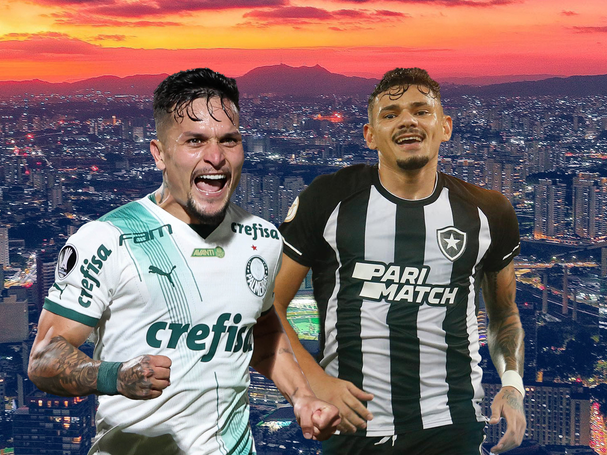 mpotafogko-palmeiras-021123