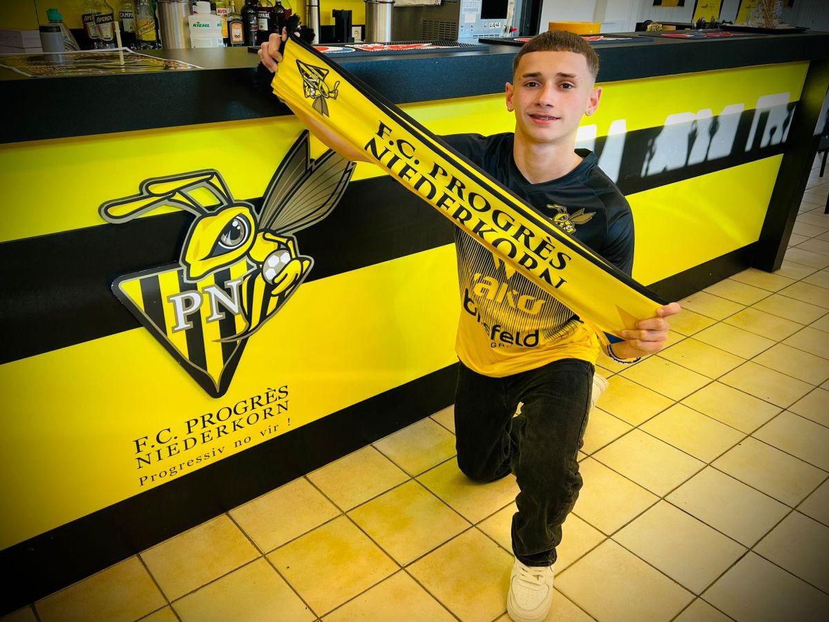 progkres-nienterkorn-gkilani-130723