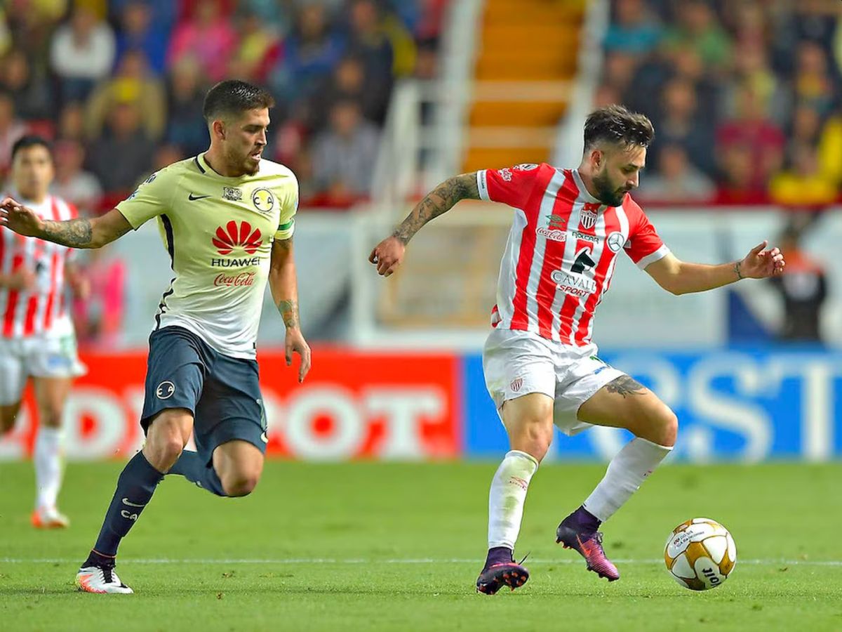 klamp-amerika-nekaksa-240823