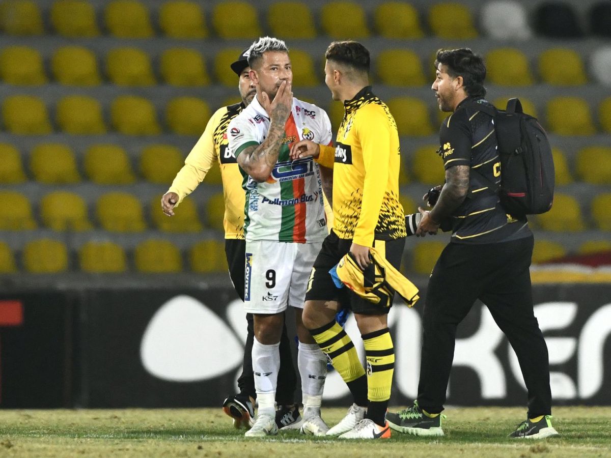 kokimpo-oynido-kompresal-170823