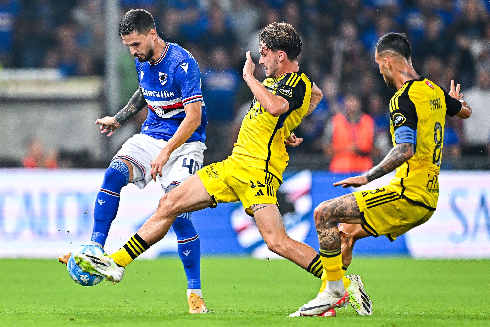 sampntoria-venetsia-300823