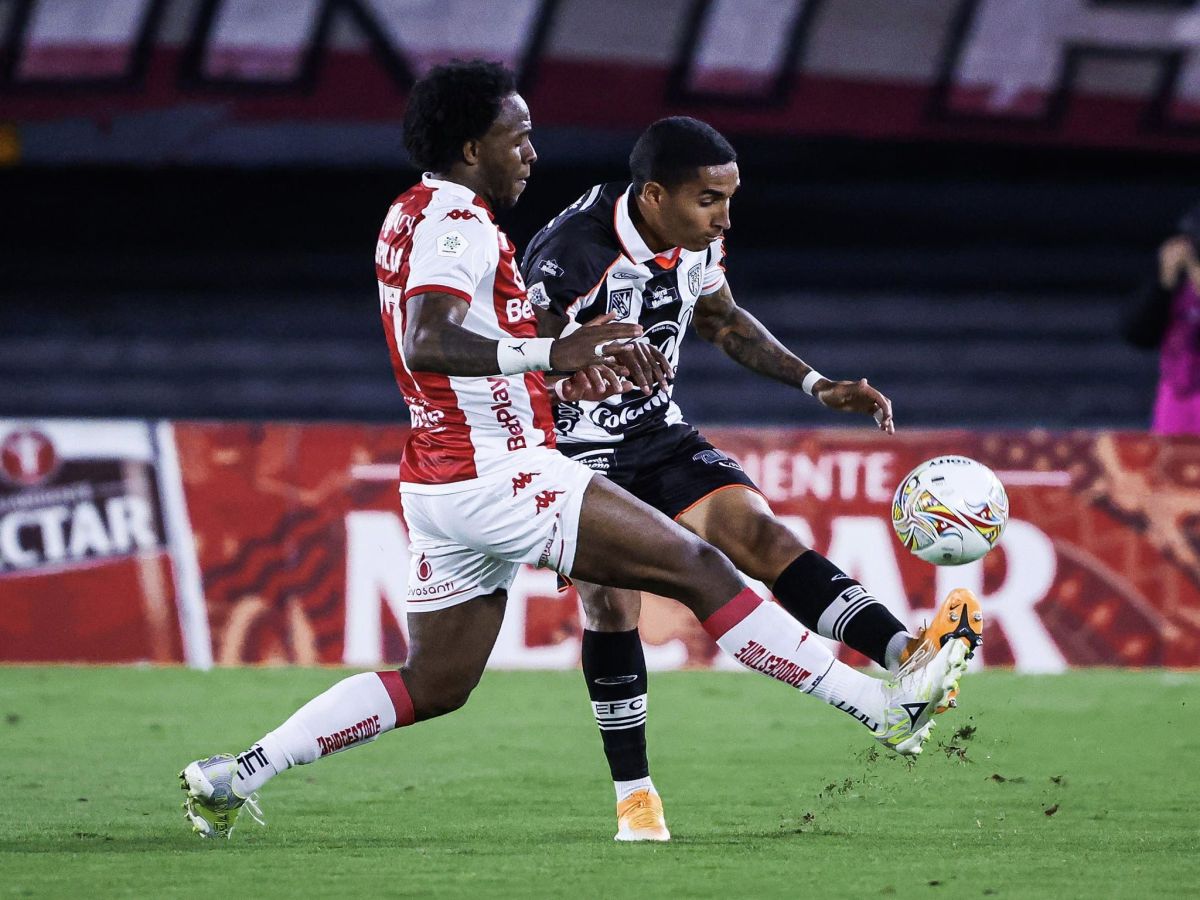 envigkado-amerika-kali-070923