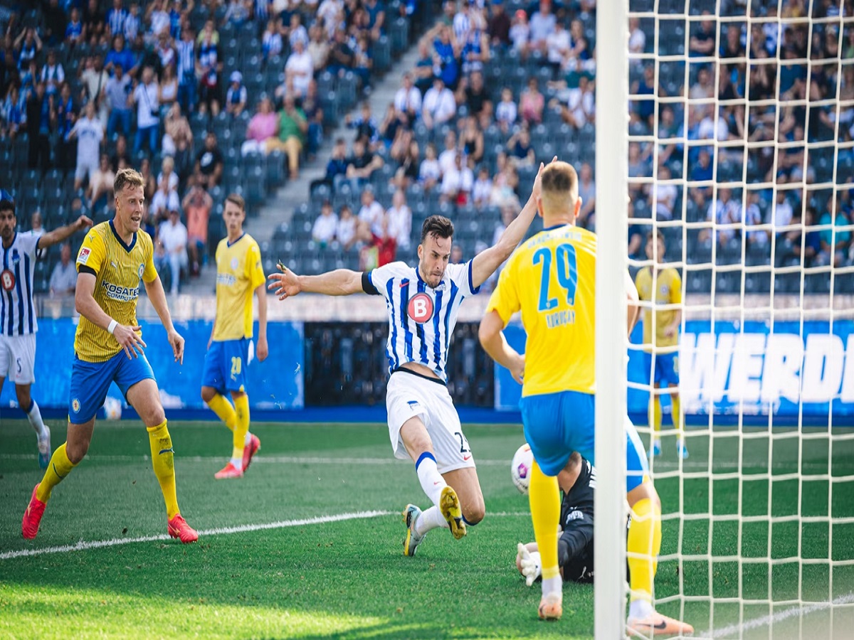 xolstain-kiel-xerta-verolinoy-240923