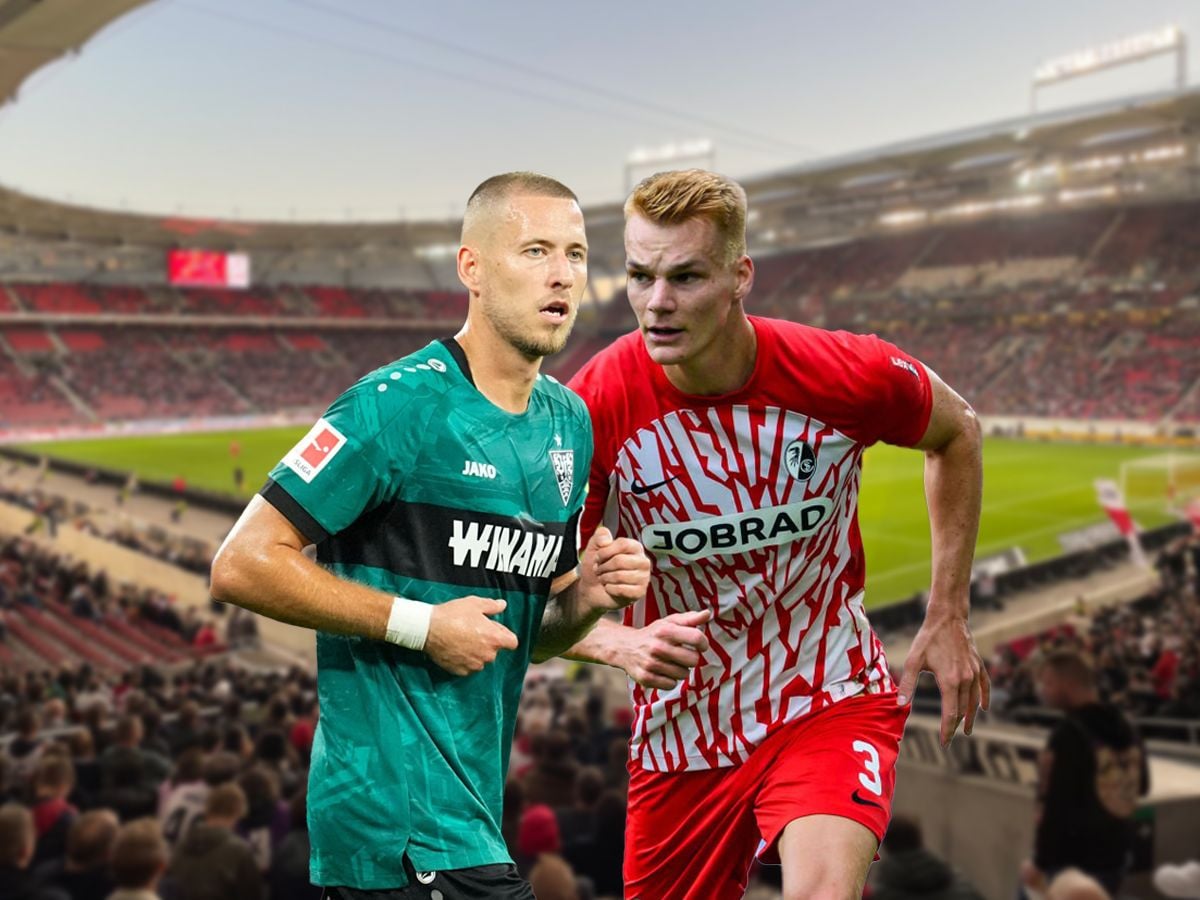 stoytgardi-fraimpoyrgk-020923