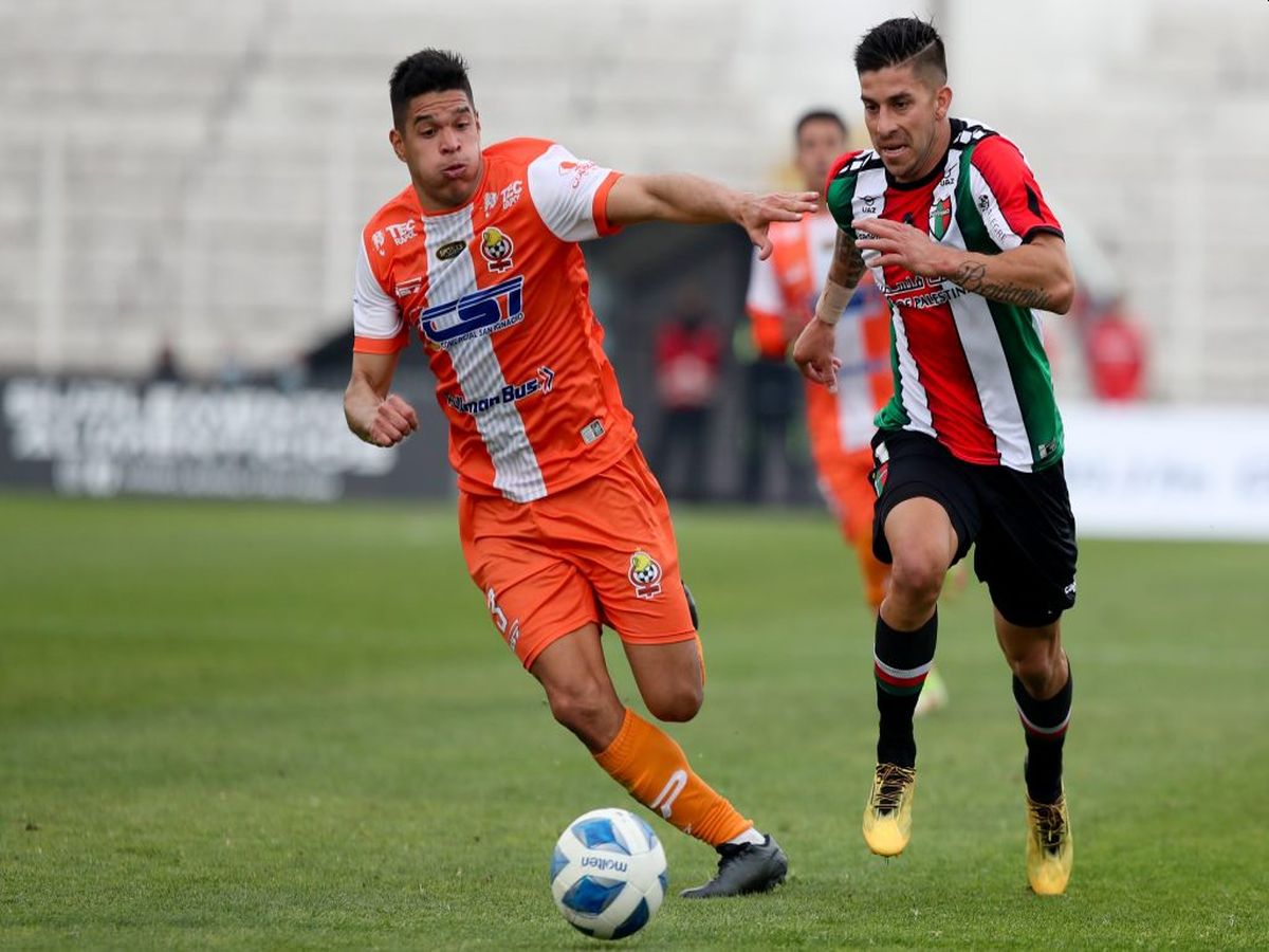 kompresal-palestino-021023