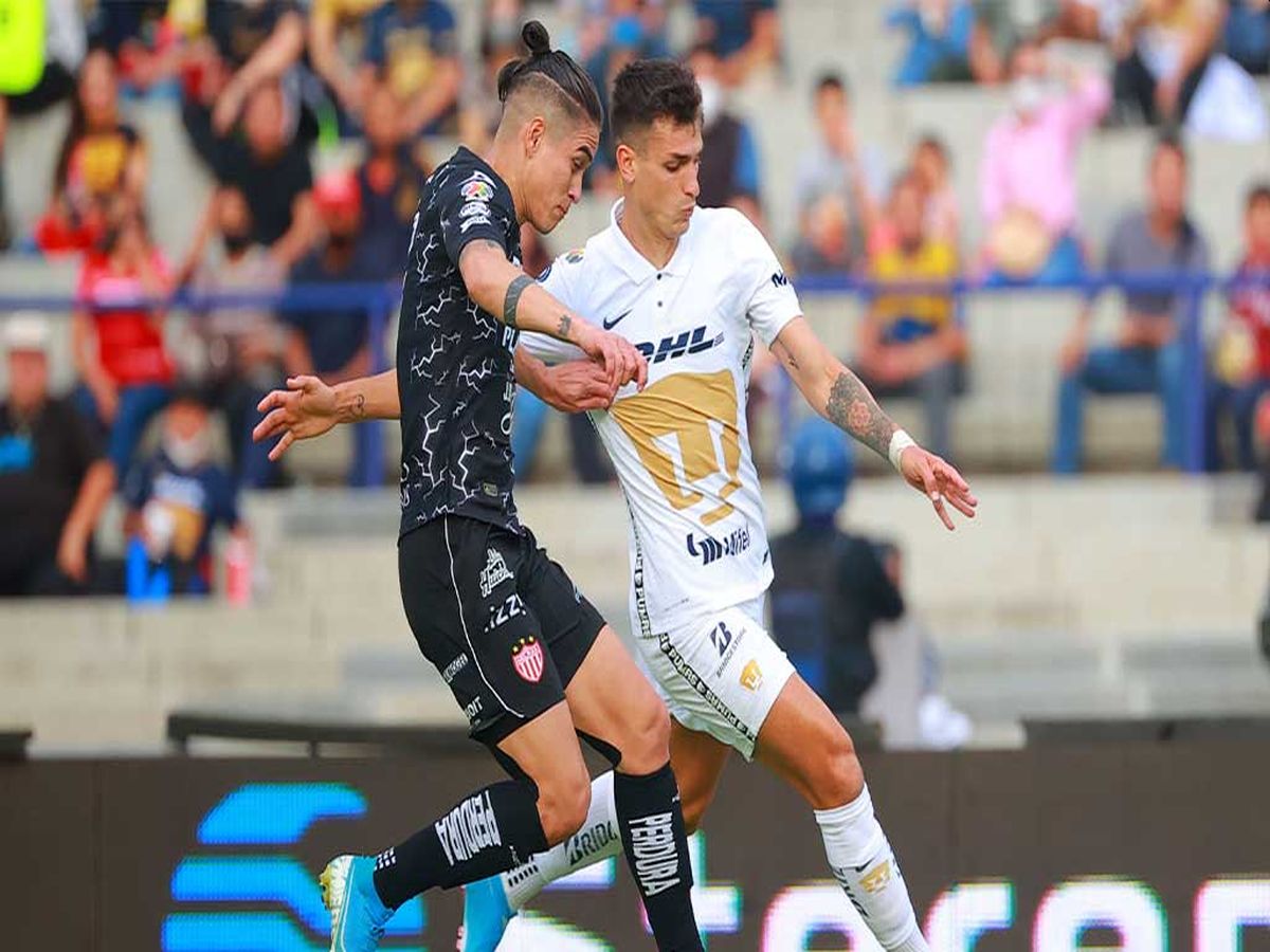 nekaksa-poymas-281023