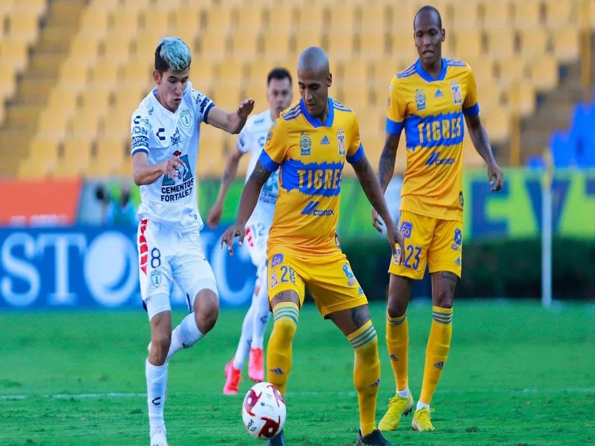 patsoyka-tigkres-081023