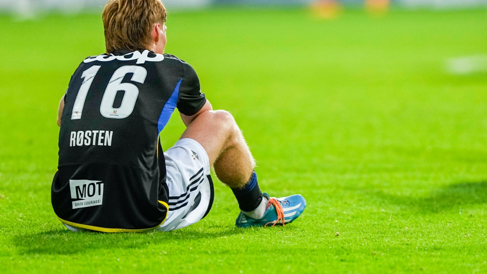 rozenmporgk-stampaek-221023