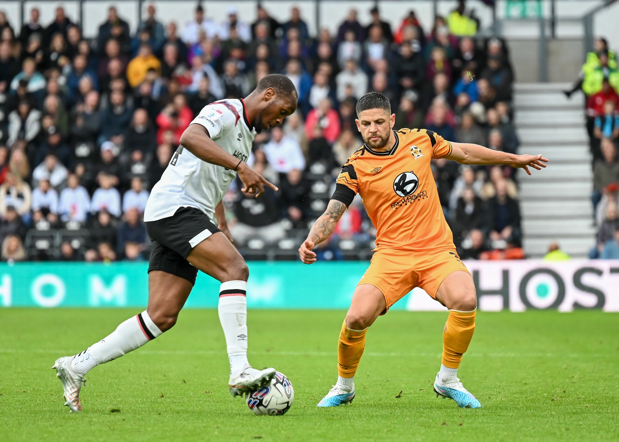 kempritz-koltsester-171023