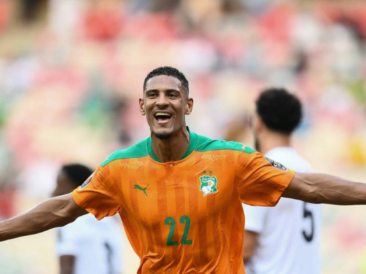 akti-elefantostoy-maroko-141023