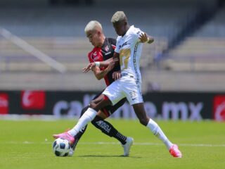 Πούμας - Άτλας