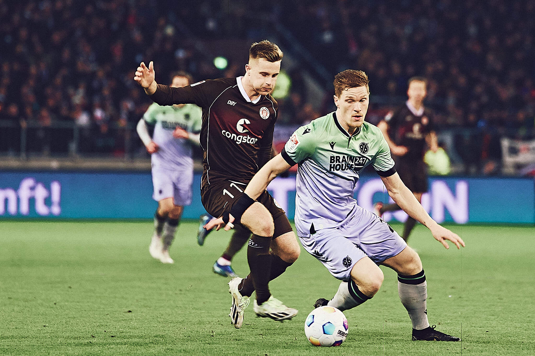 annovero-xerta-verolinoy-241123