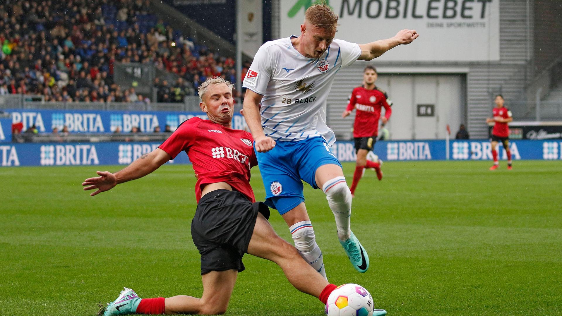 xansa-rostok-xerta-verolinoy-051123