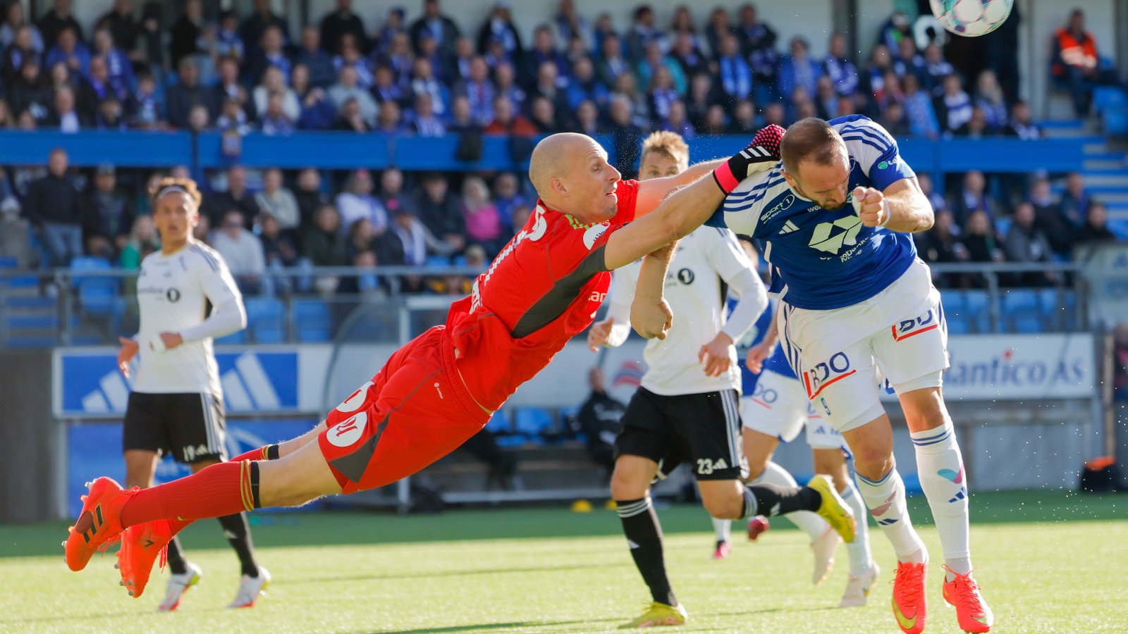 rozenmporgk-molnte-051123