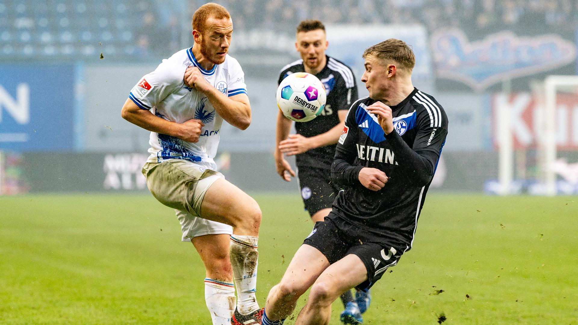 salke-xansa-rostok-110524