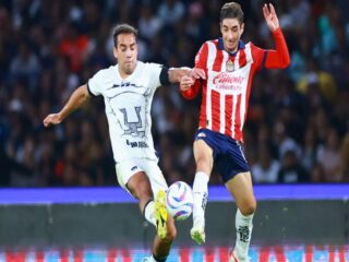 Πούμας - Γουαδαλαχάρα