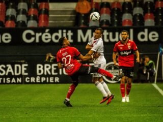 Γκινγκάμπ - Ροντέζ