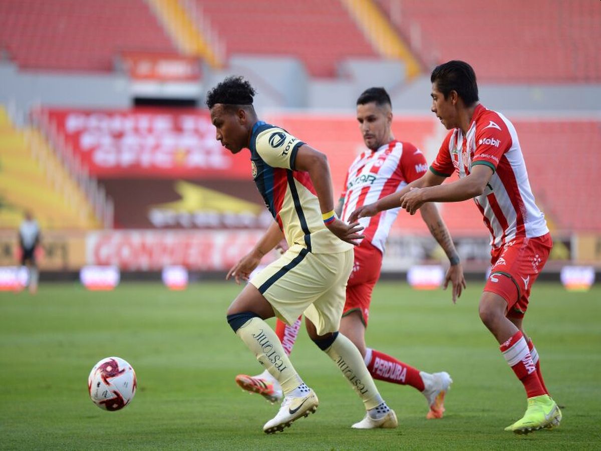 nekaksa-klamp-amerika-280124