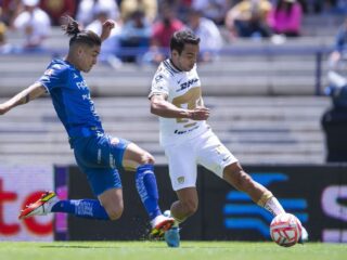 Πούμας - Νεκάξα