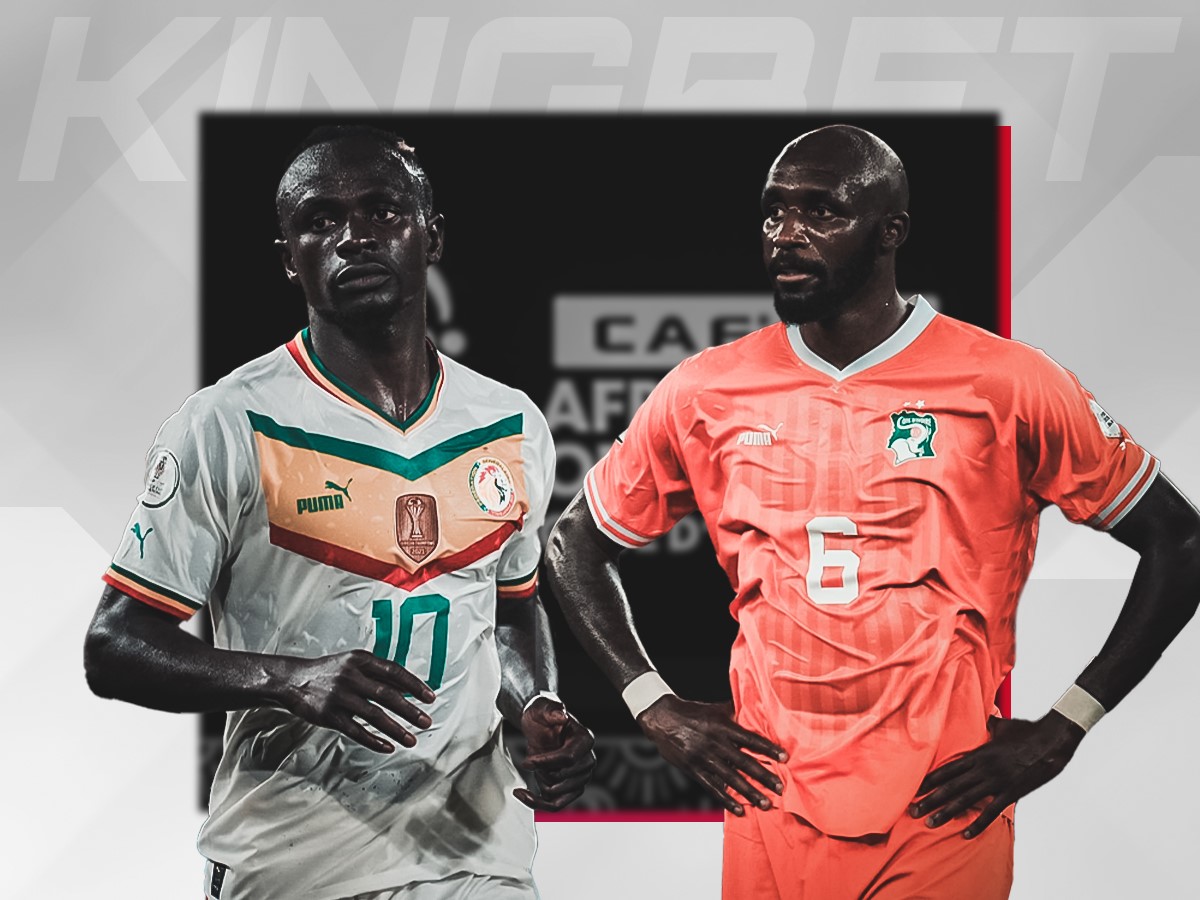 senegali-akti-elefantostoy-290124