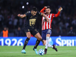 Γουαδαλαχάρα - Πούμας