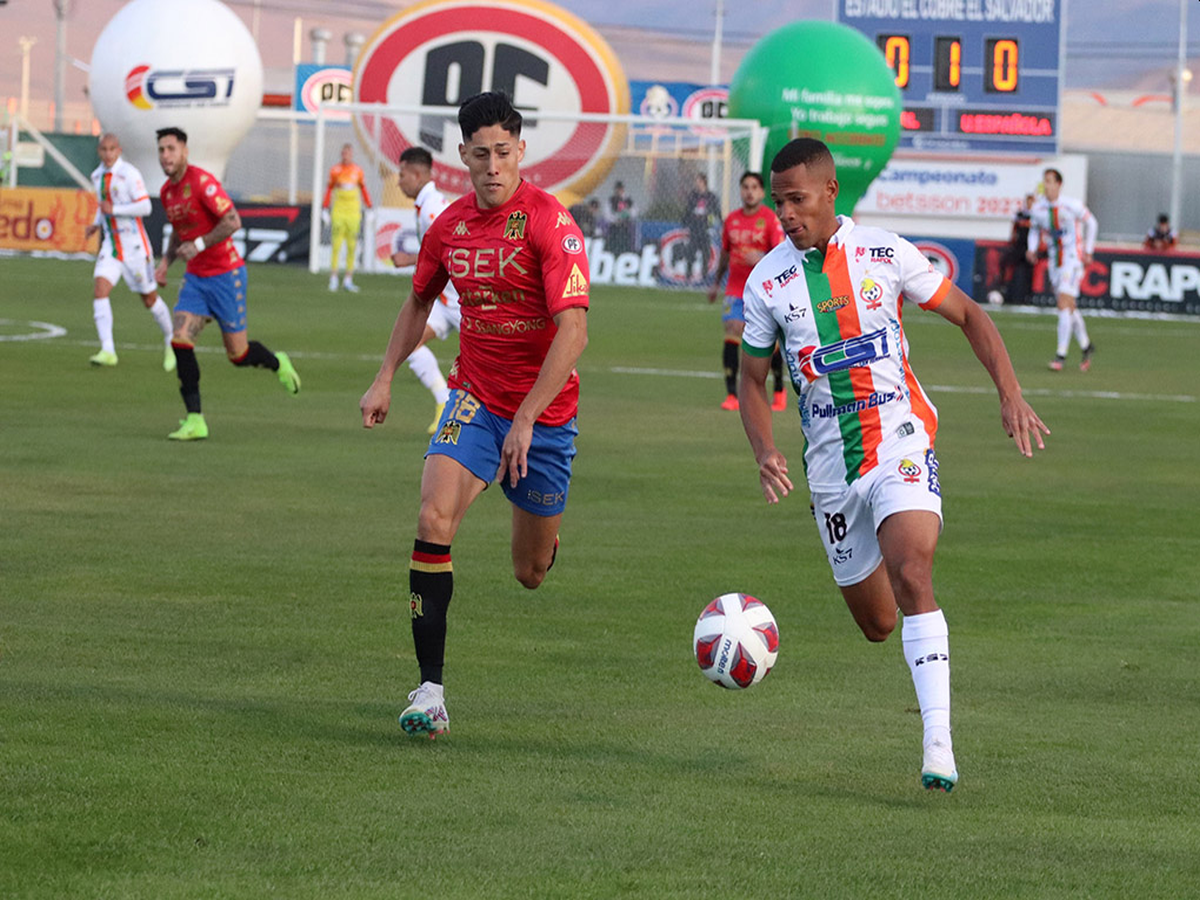 kompresal-oynion-espaniola-260224