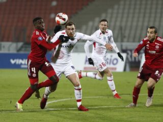 Γκινγκάμπ - Ανεσί