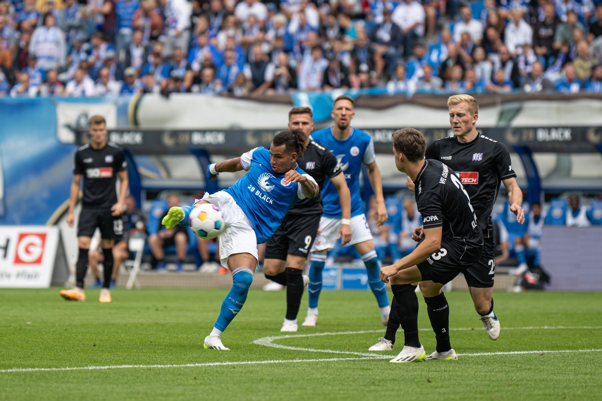 osnamprik-xansa-rostok-110224