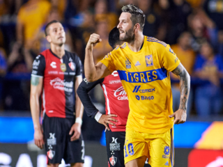 Τίγκρες - Άτλας