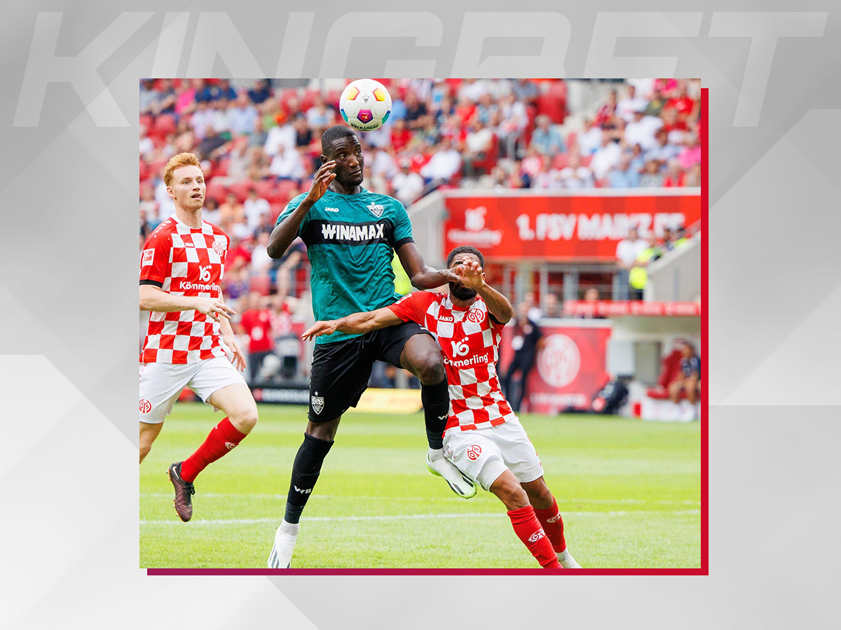 stoytgardi-maints-110224