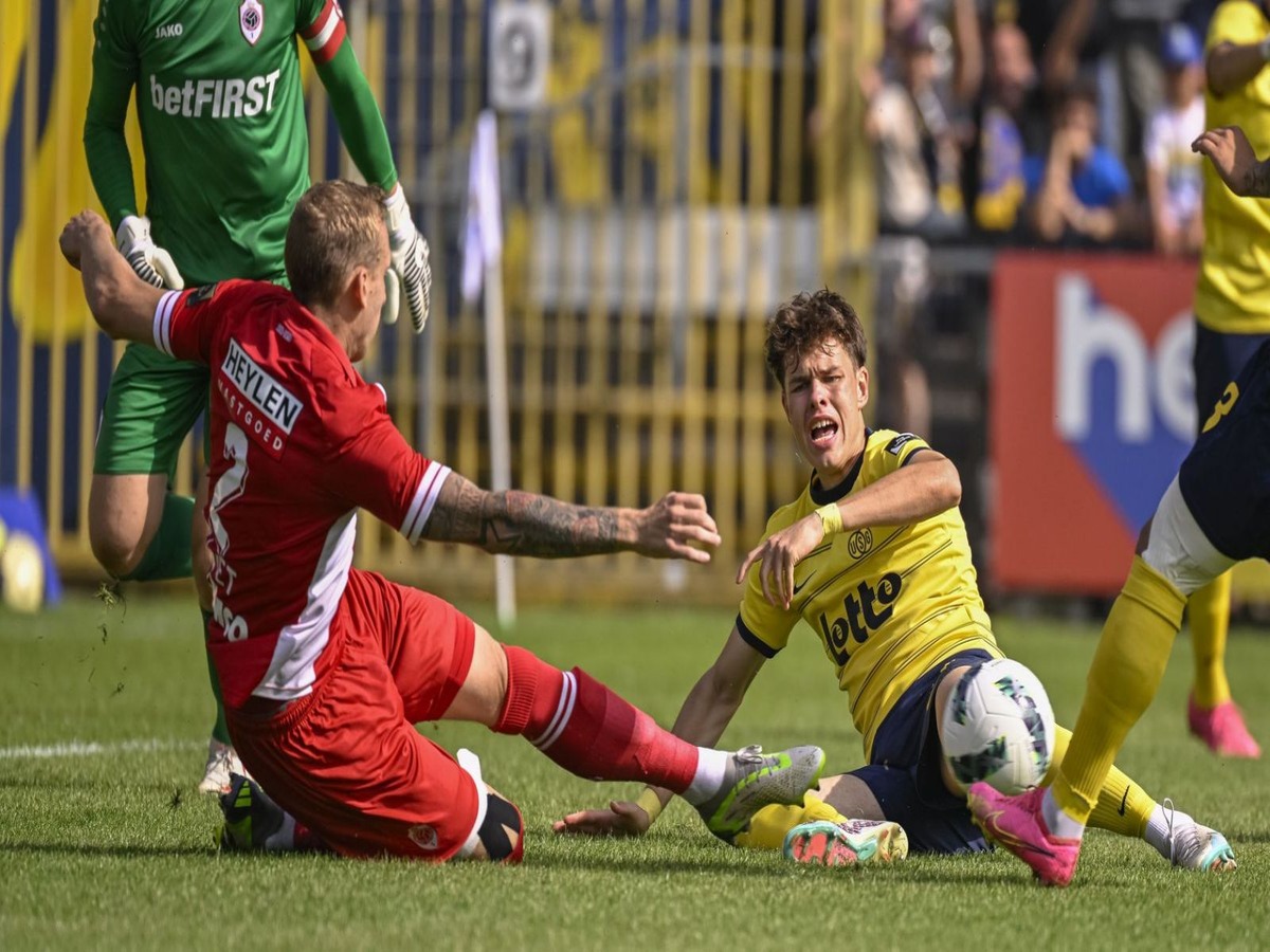 antverp-oynion-sen-ziloyaz-170324