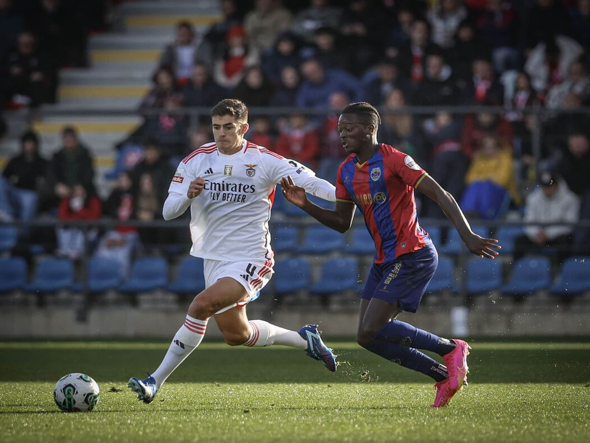 mpenfika-tsaves-290324