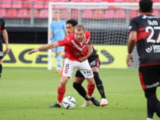 Γκινγκάμπ - Βαλενσιέν