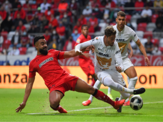 Τολούκα - Πούμας