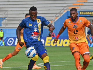 Ντελφίν - Ιντερνασιονάλ