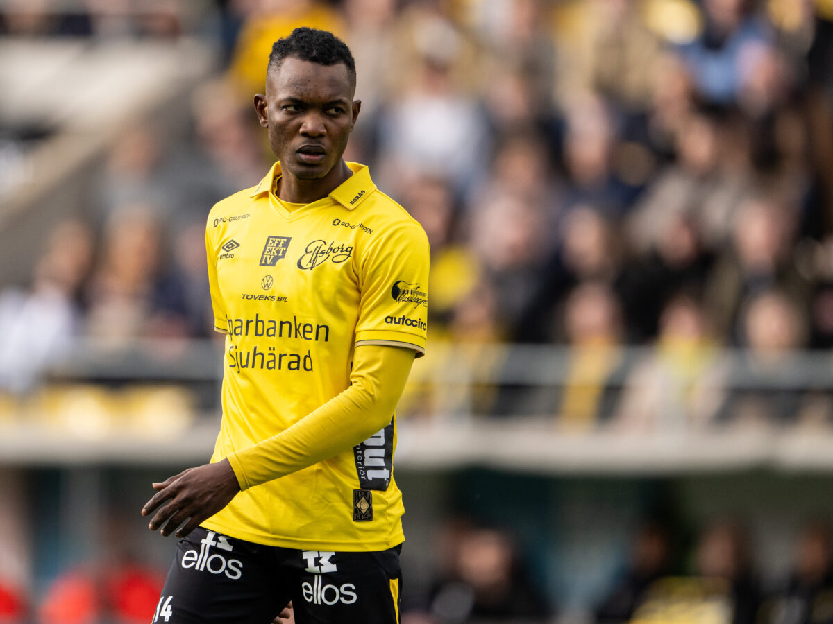 norsepingk-elfsmporgk-250424