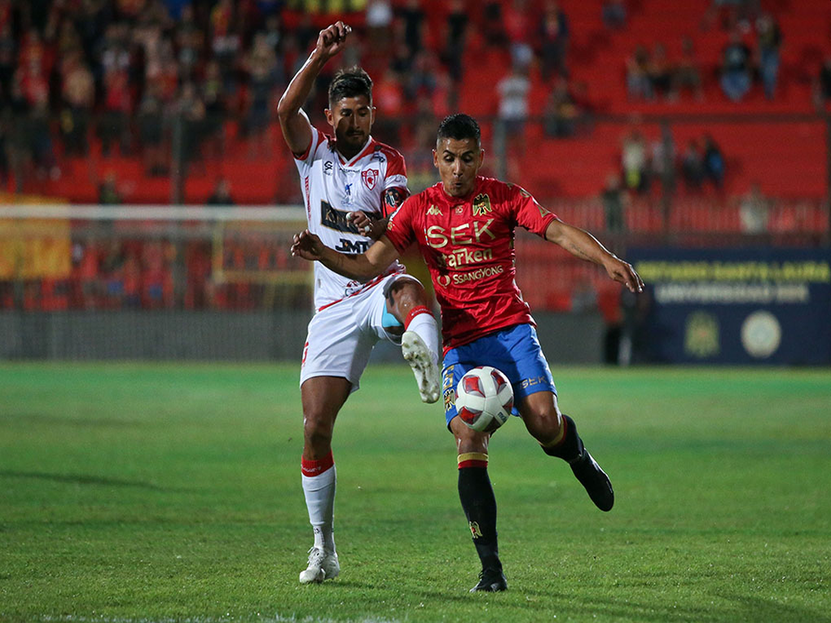 oynion-espaniola-nteportes-kopiapo-220424