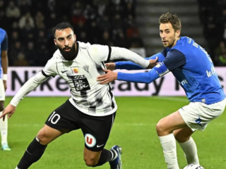 Γκινγκάμπ - Ανζέ