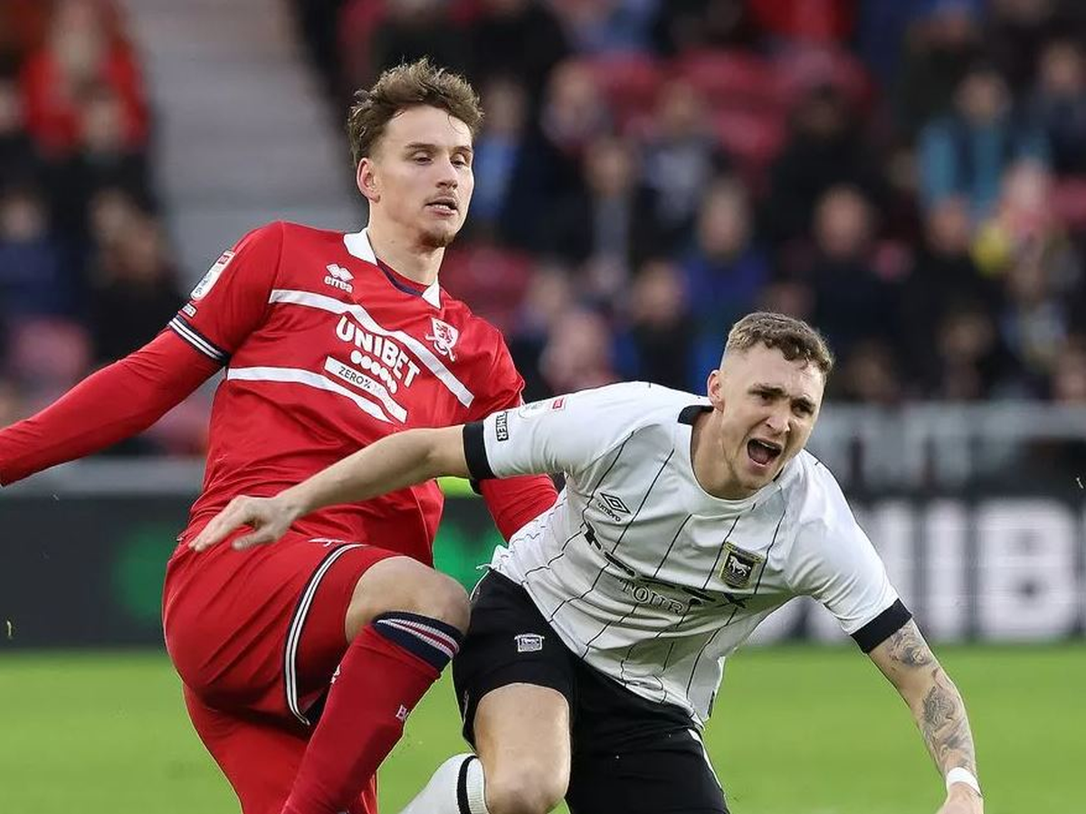 ipsoyits-mintlesmpro-130424